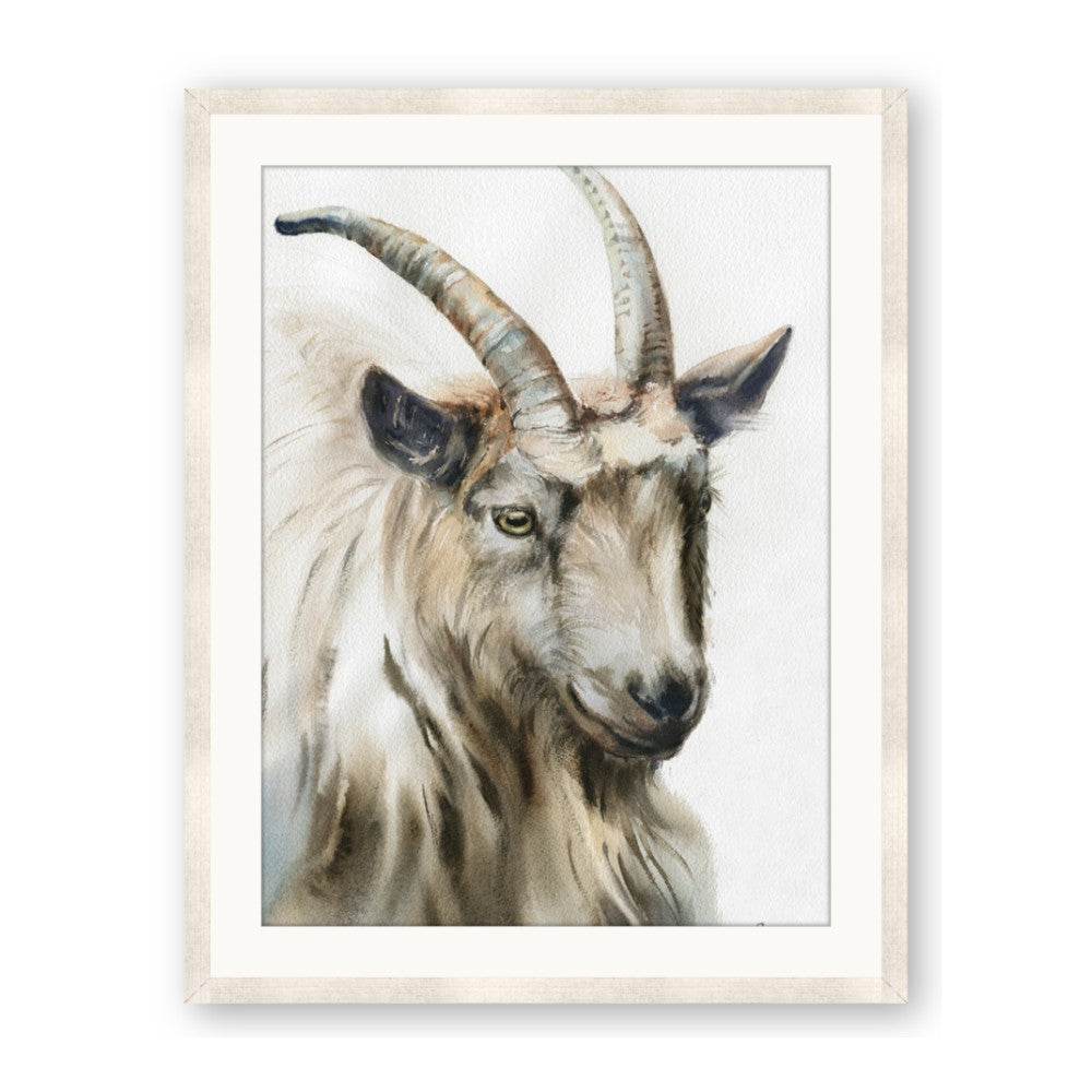 Watercolour Ram