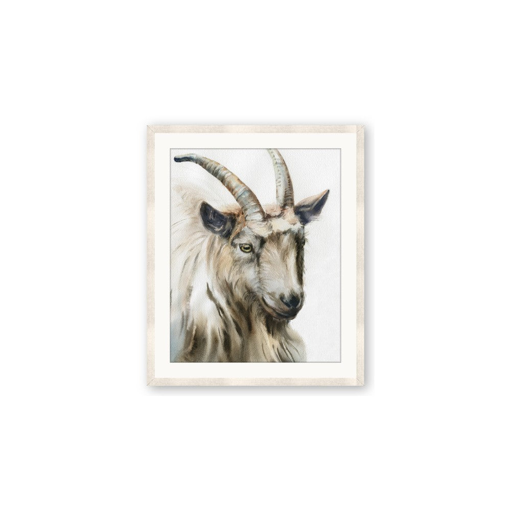 Watercolour Ram