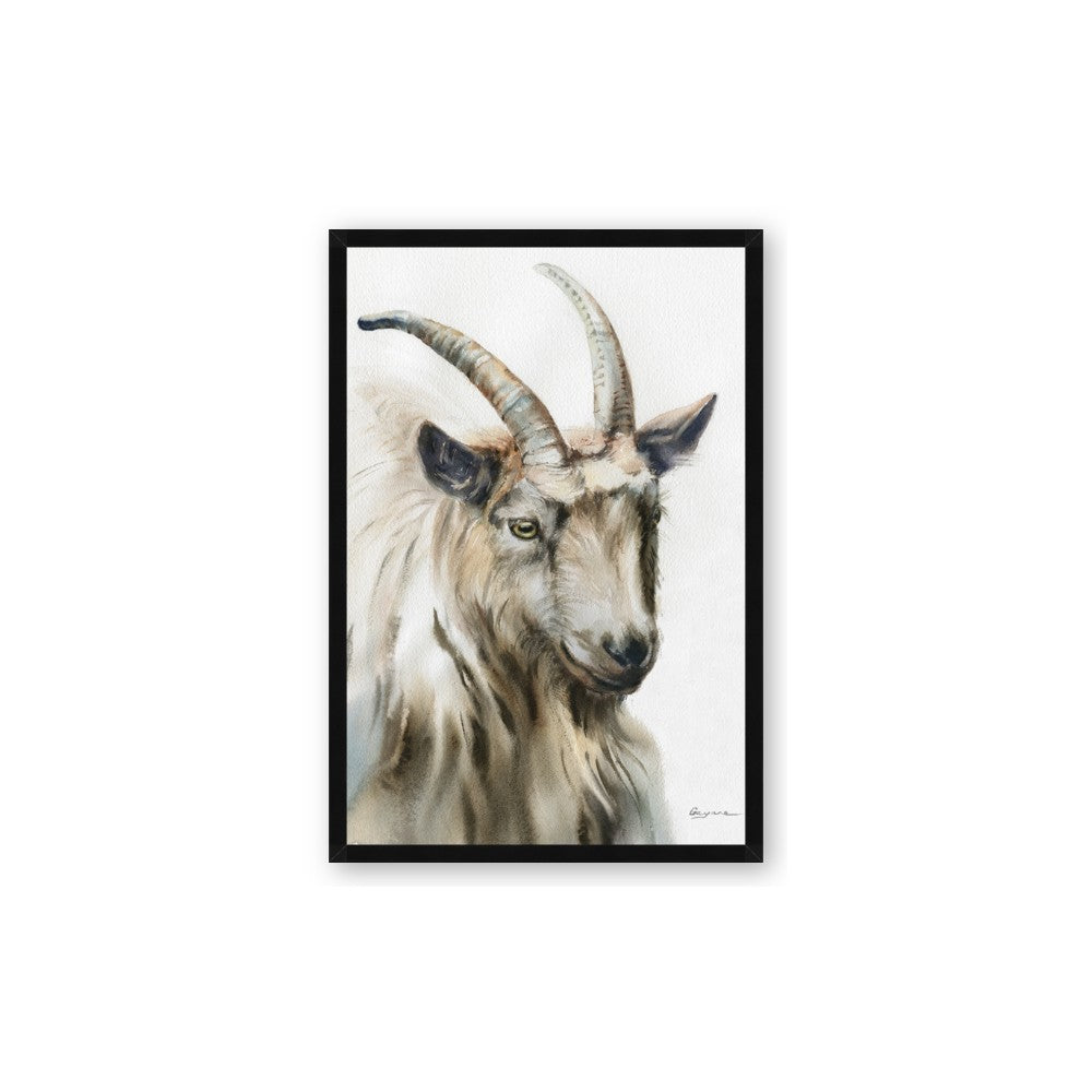 Watercolour Ram
