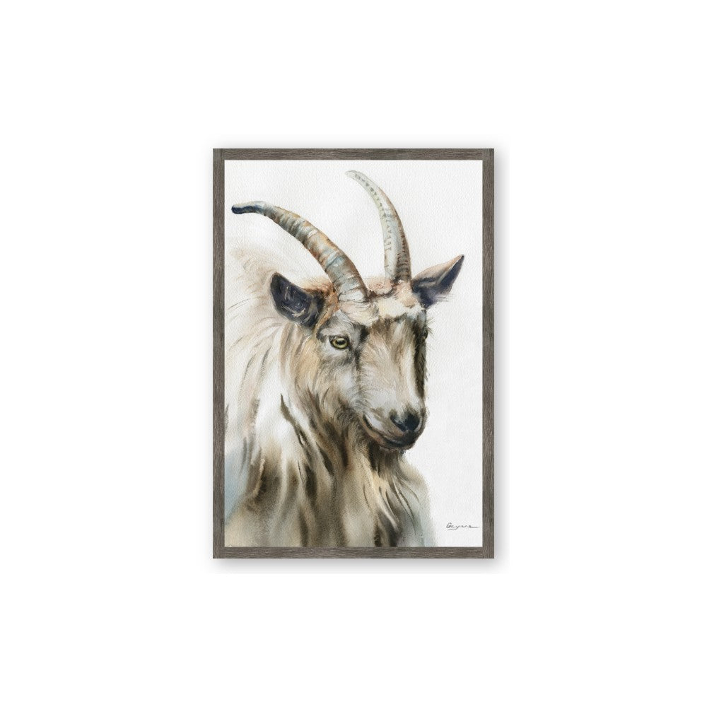 Watercolour Ram
