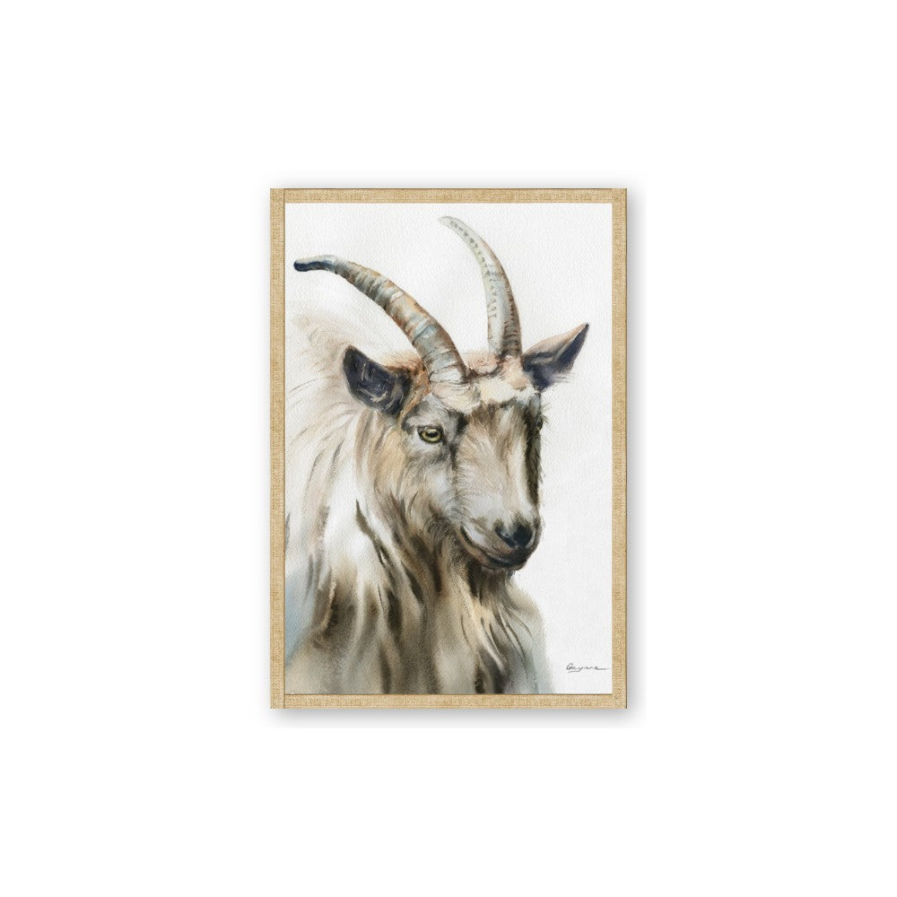 Watercolour Ram