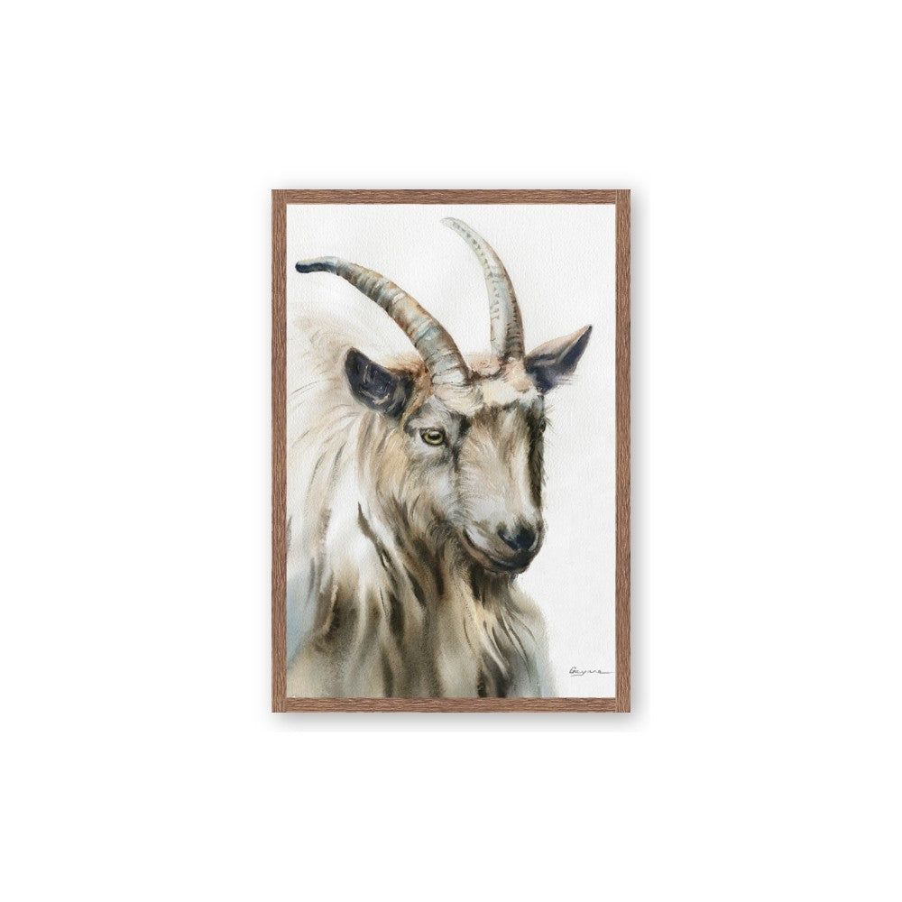 Watercolour Ram