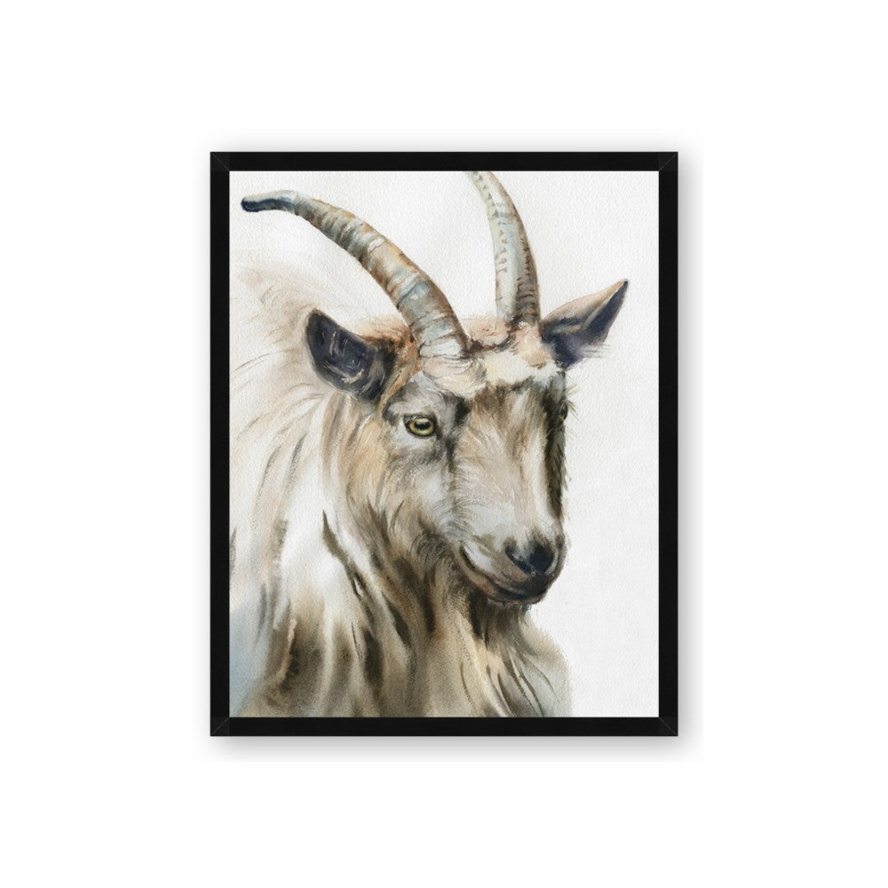 Watercolour Ram