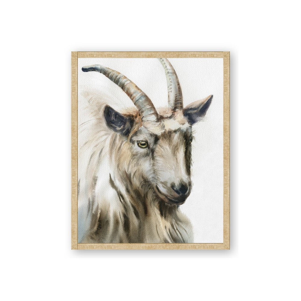 Watercolour Ram
