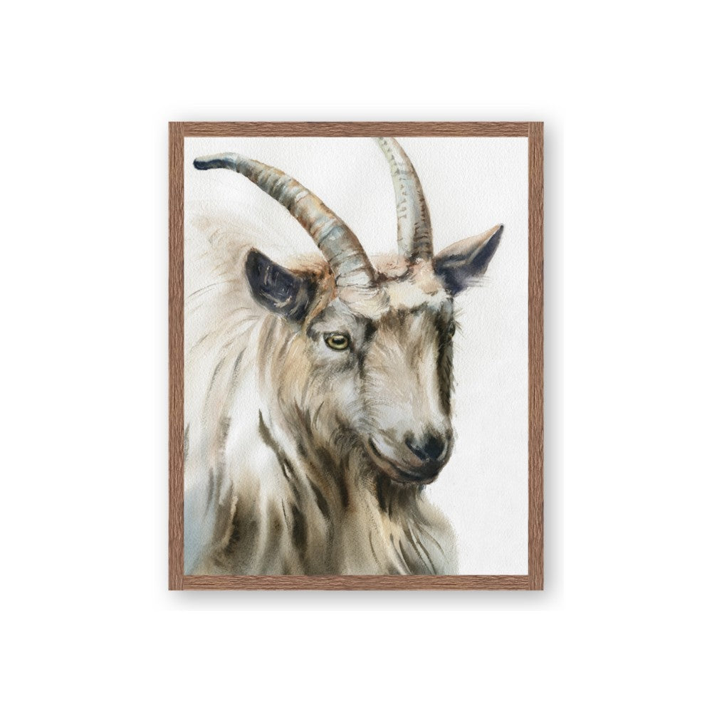 Watercolour Ram