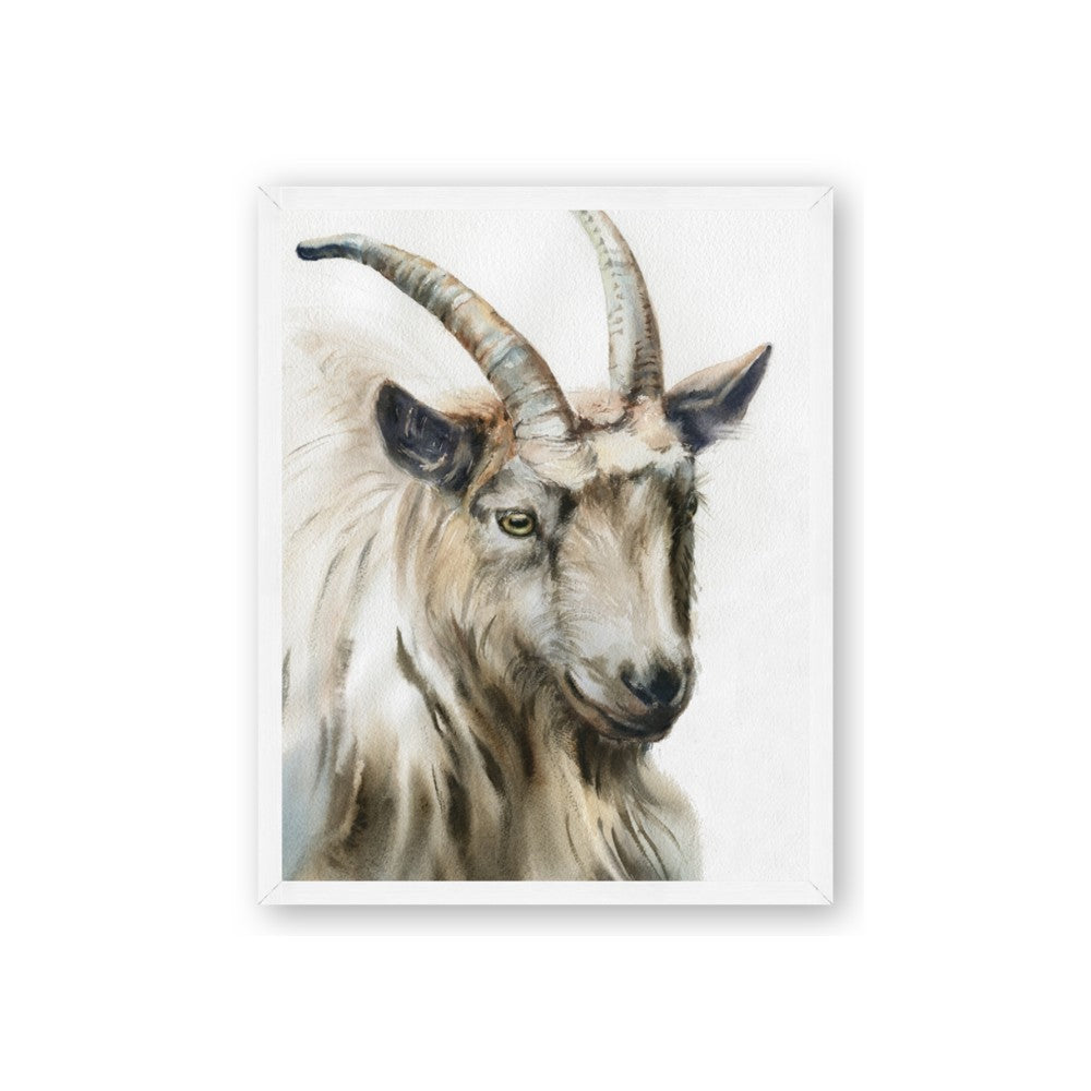 Watercolour Ram