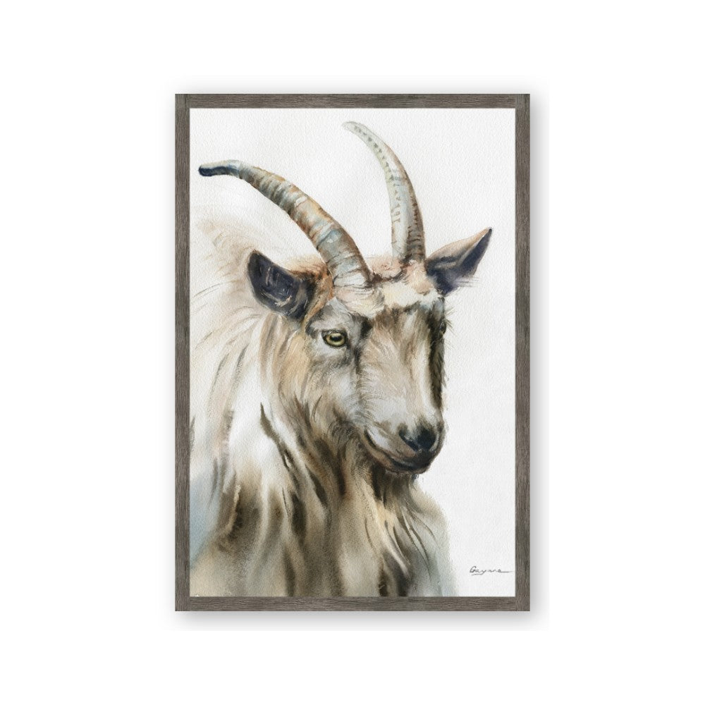 Watercolour Ram