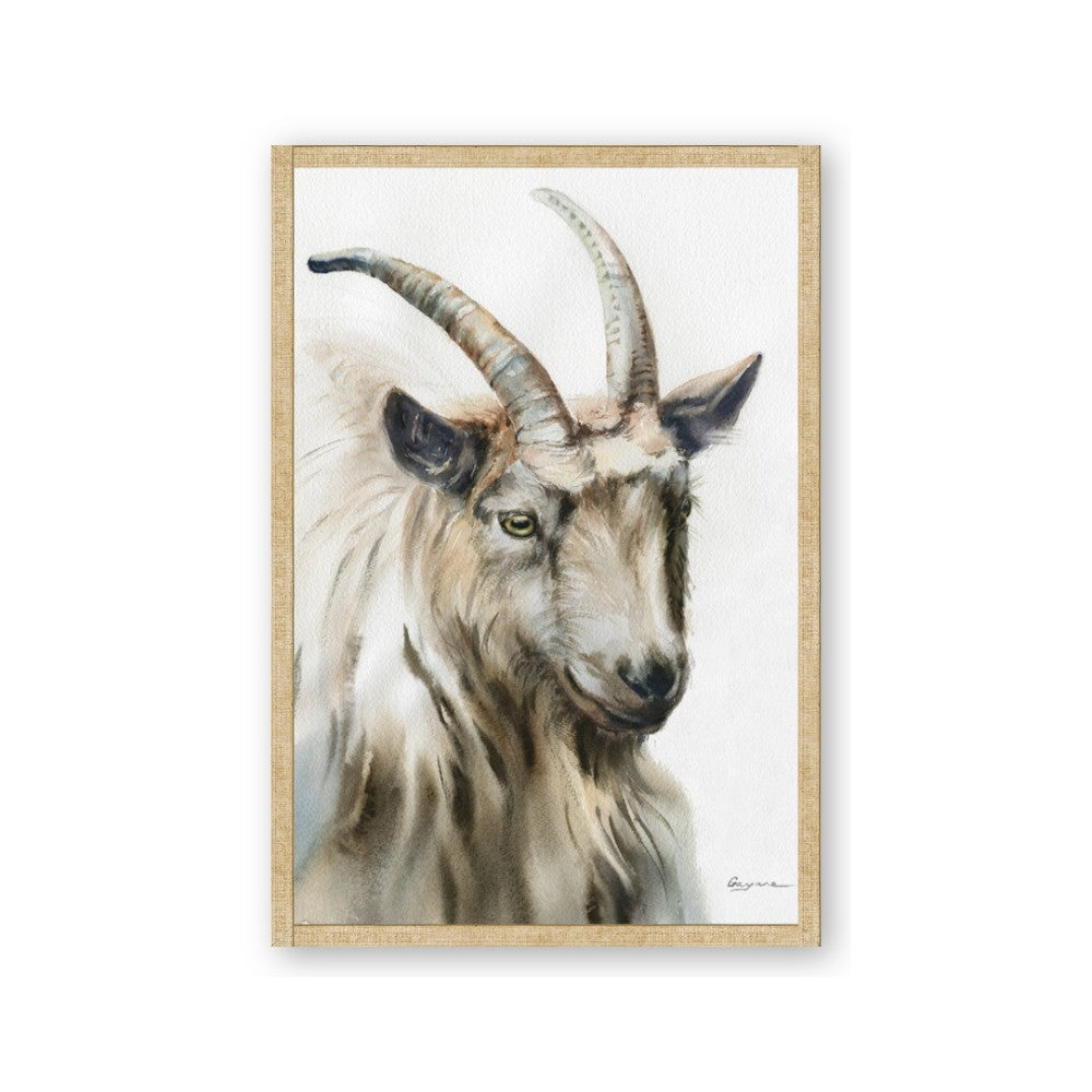 Watercolour Ram