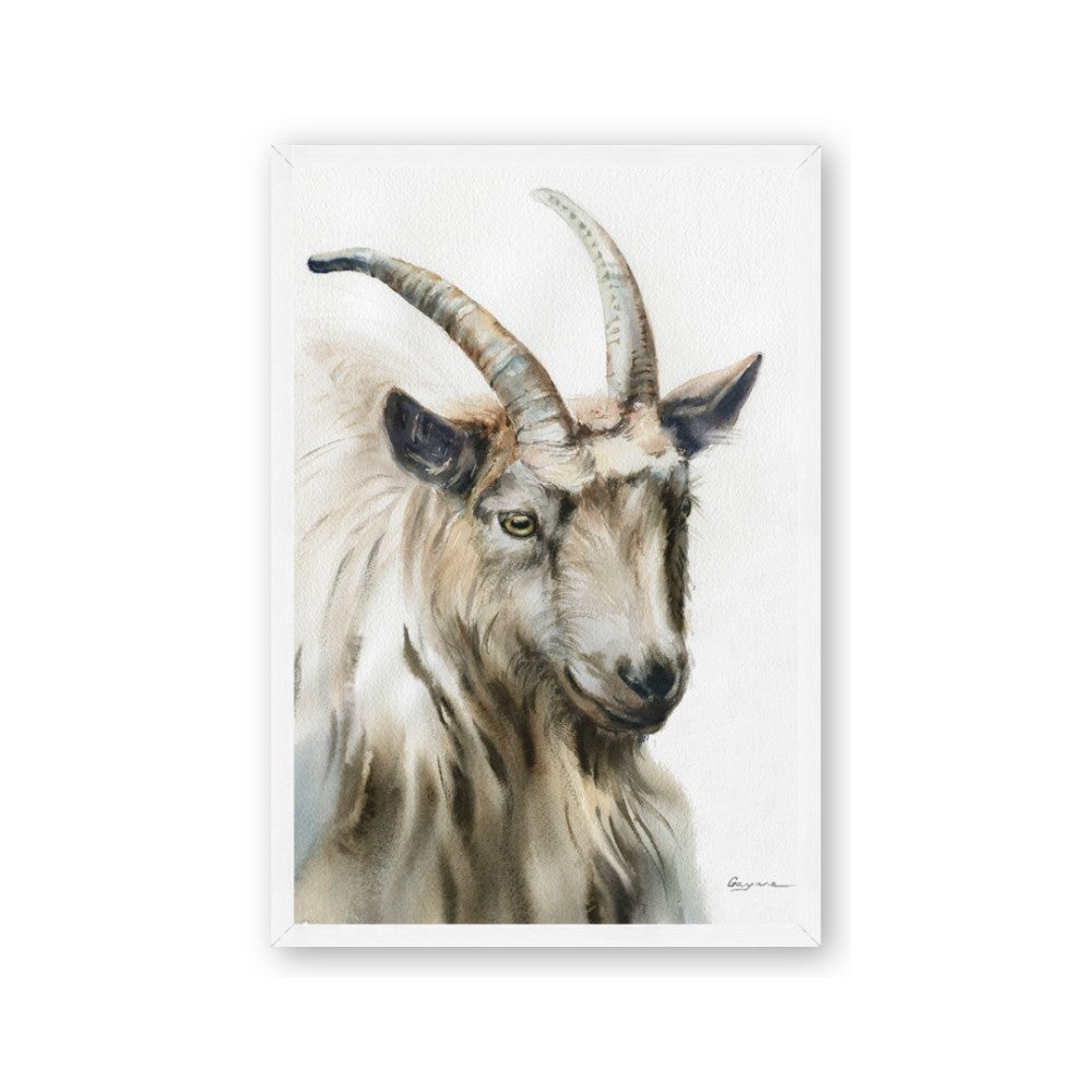 Watercolour Ram