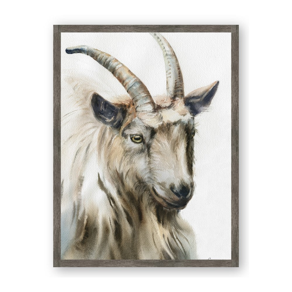 Watercolour Ram