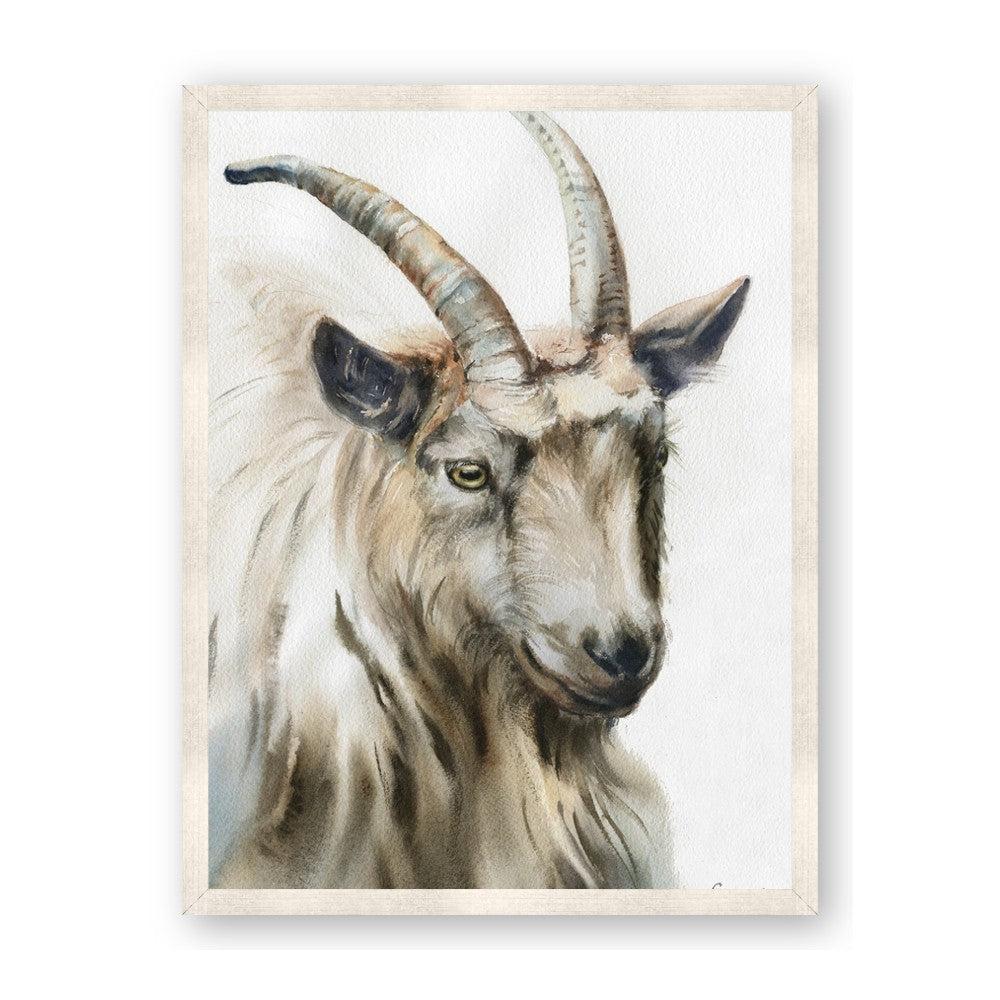 Watercolour Ram