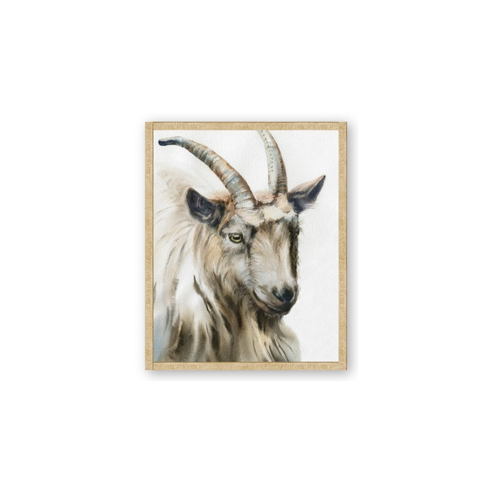 Watercolour Ram