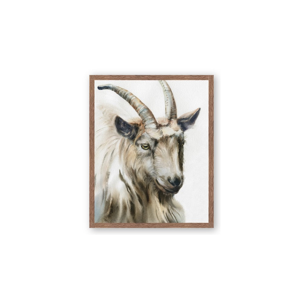 Watercolour Ram