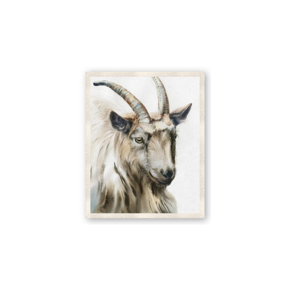 Watercolour Ram
