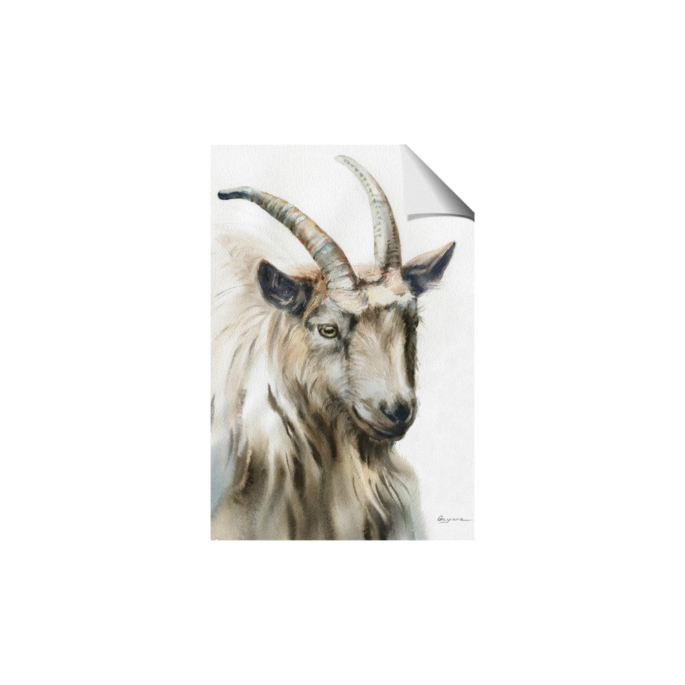 Watercolour Ram