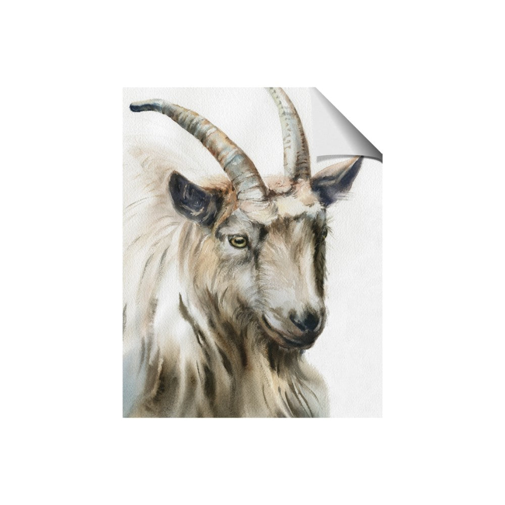 Watercolour Ram