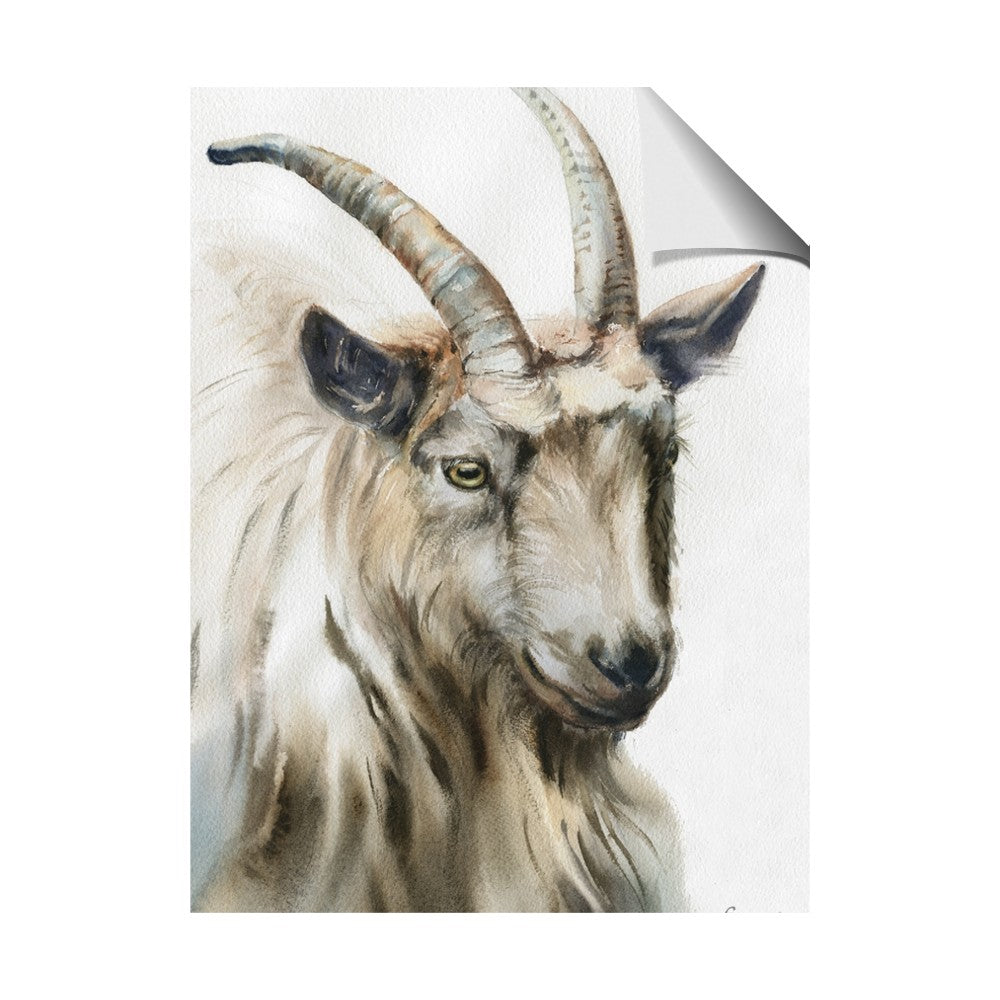 Watercolour Ram