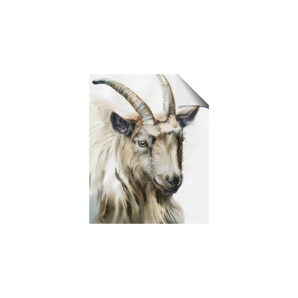 Watercolour Ram
