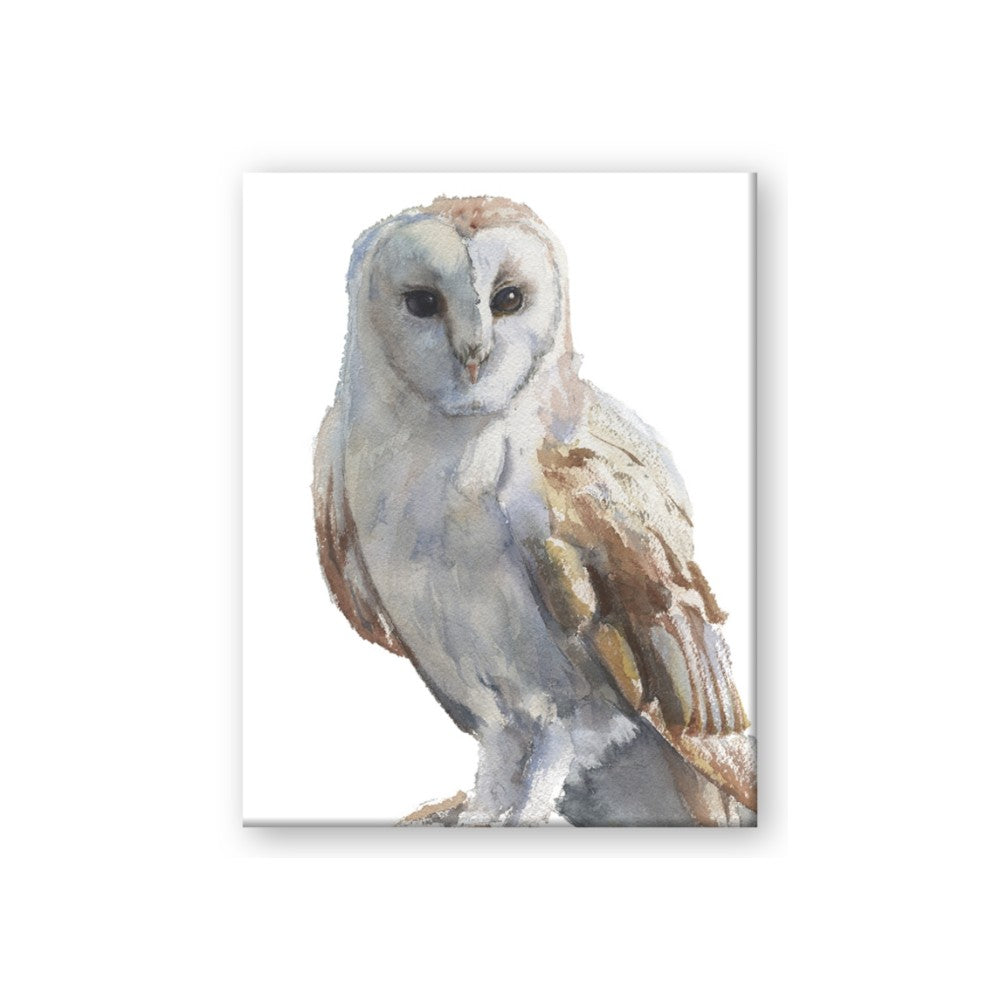 Watercolour Owl