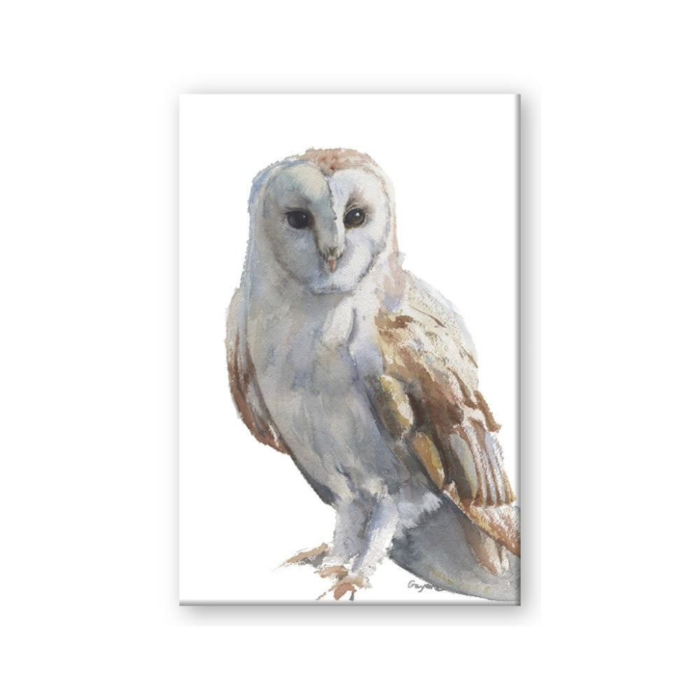 Watercolour Owl