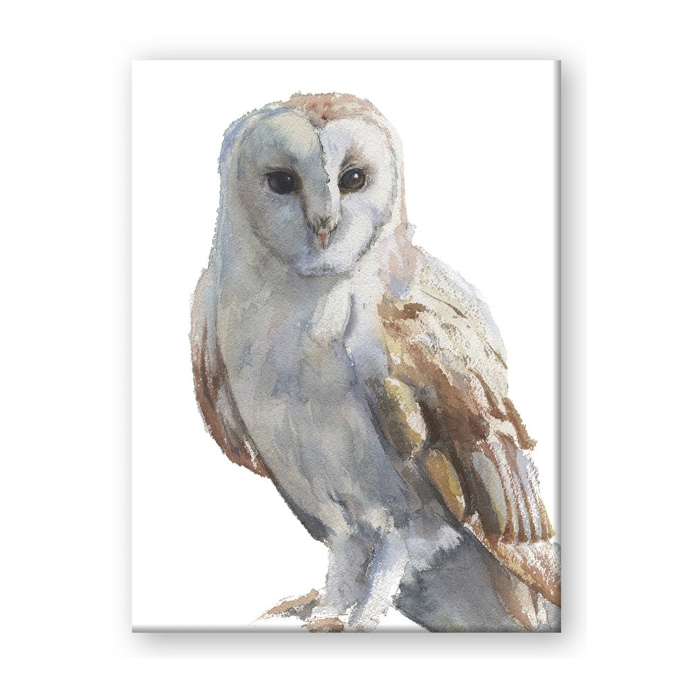 Watercolour Owl