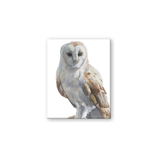 Watercolour Owl