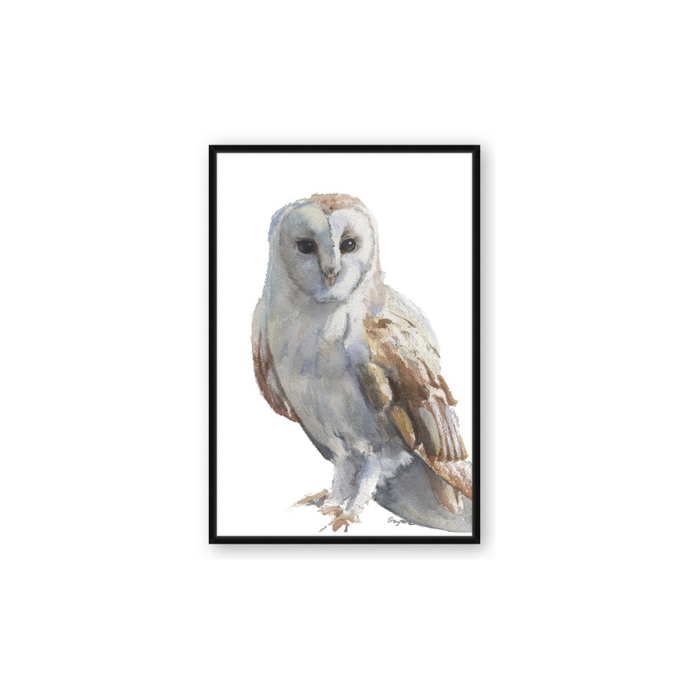 Watercolour Owl