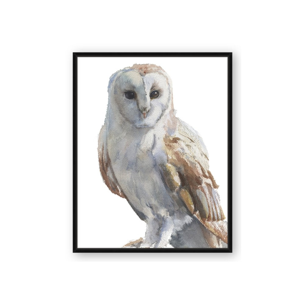 Watercolour Owl