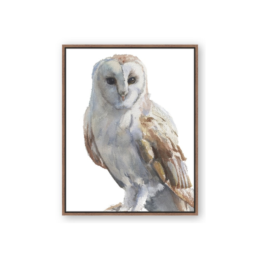 Watercolour Owl