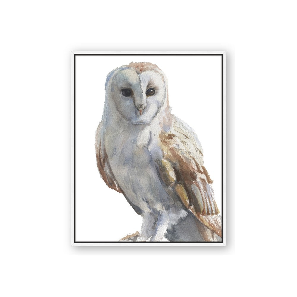 Watercolour Owl