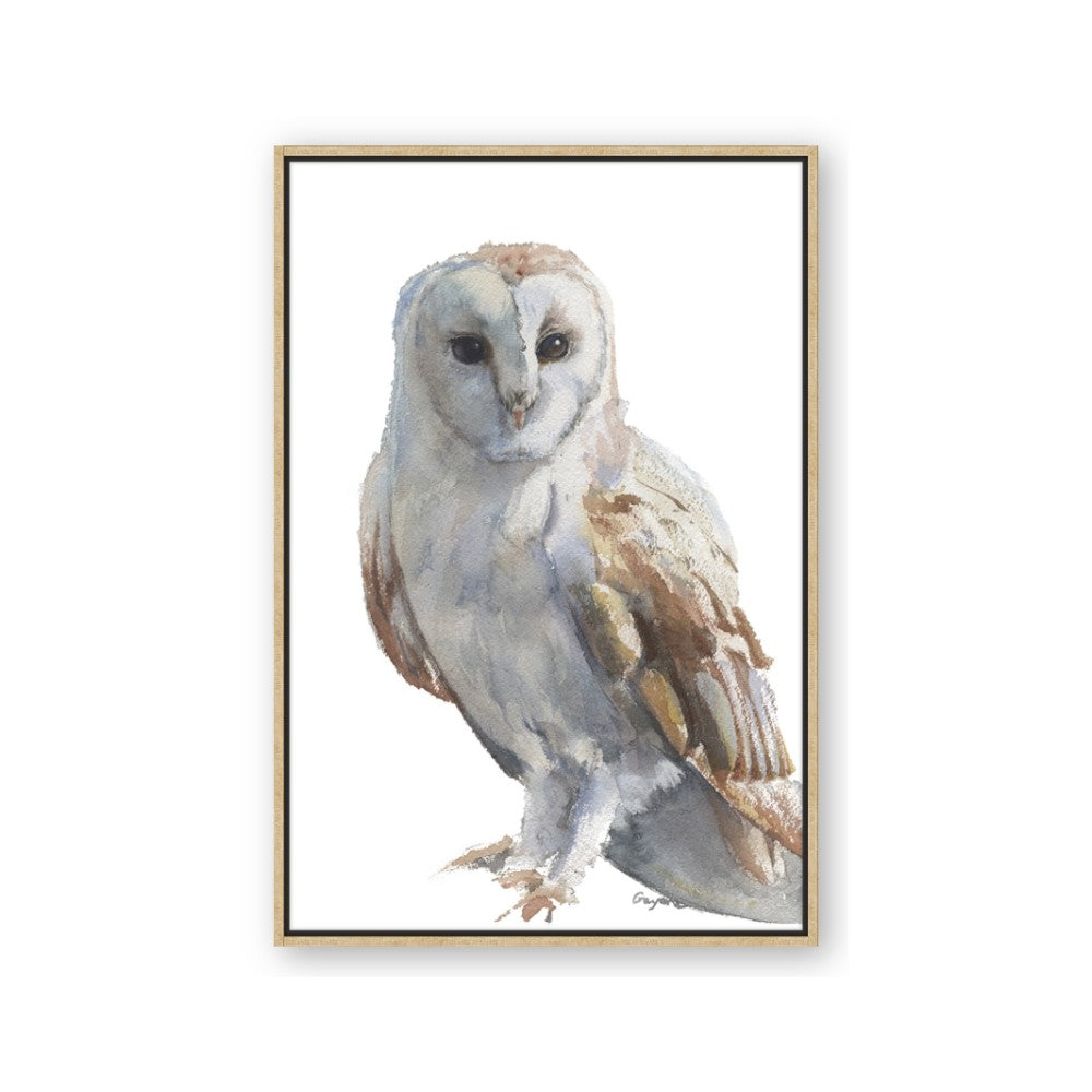 Watercolour Owl