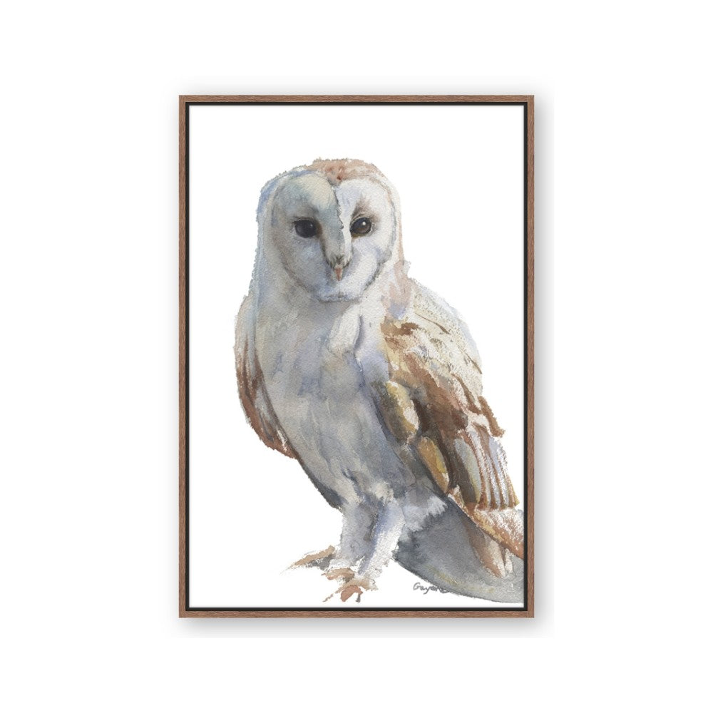Watercolour Owl