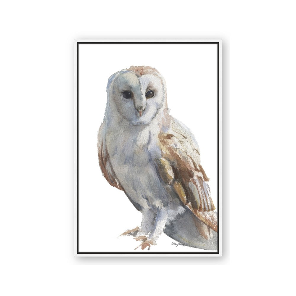 Watercolour Owl