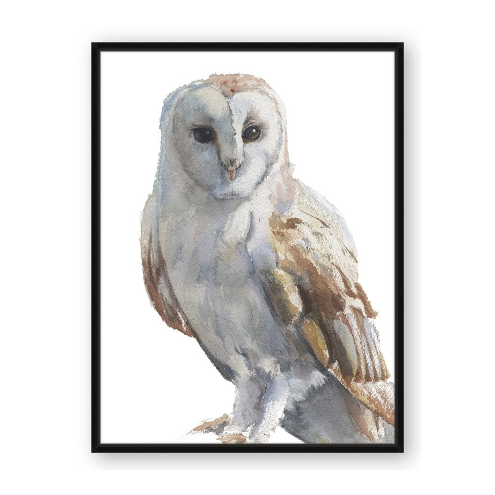 Watercolour Owl