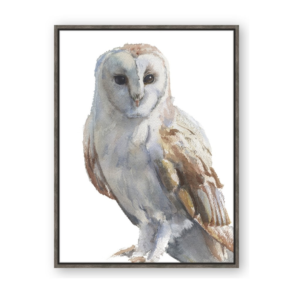 Watercolour Owl