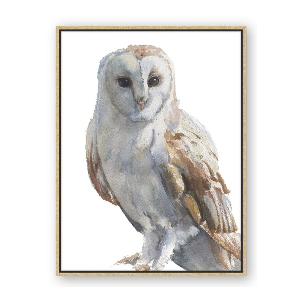 Watercolour Owl