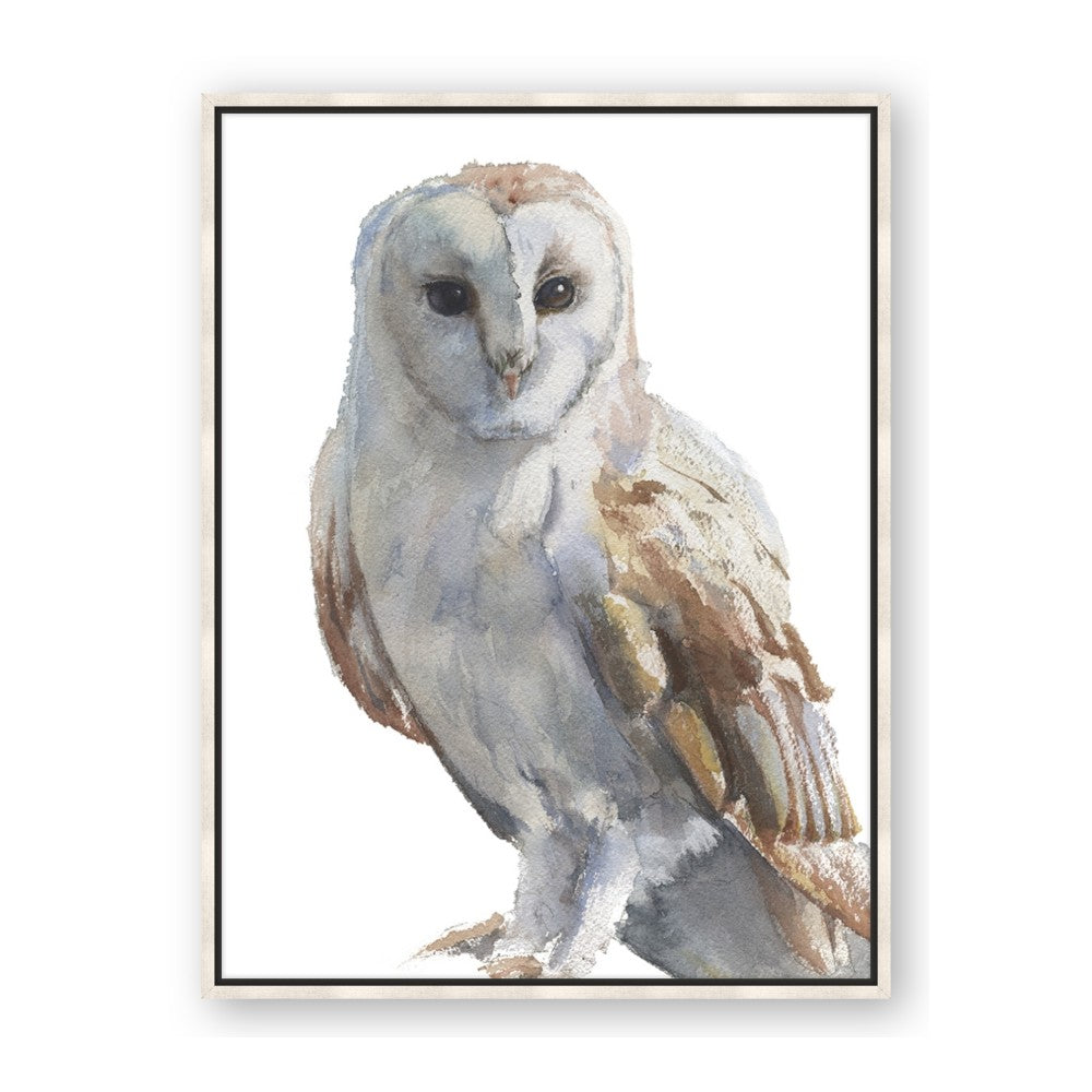 Watercolour Owl
