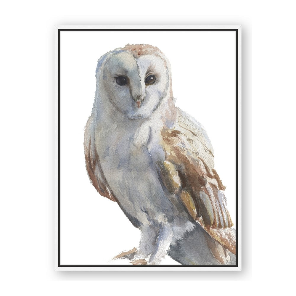 Watercolour Owl