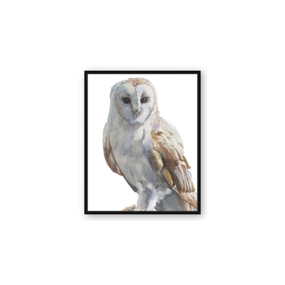Watercolour Owl