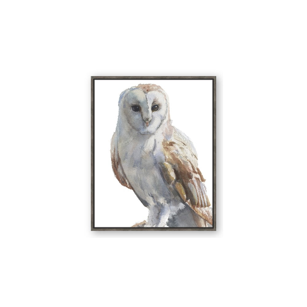 Watercolour Owl