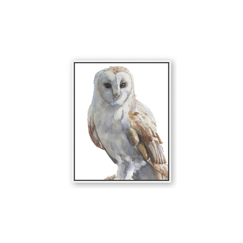 Watercolour Owl