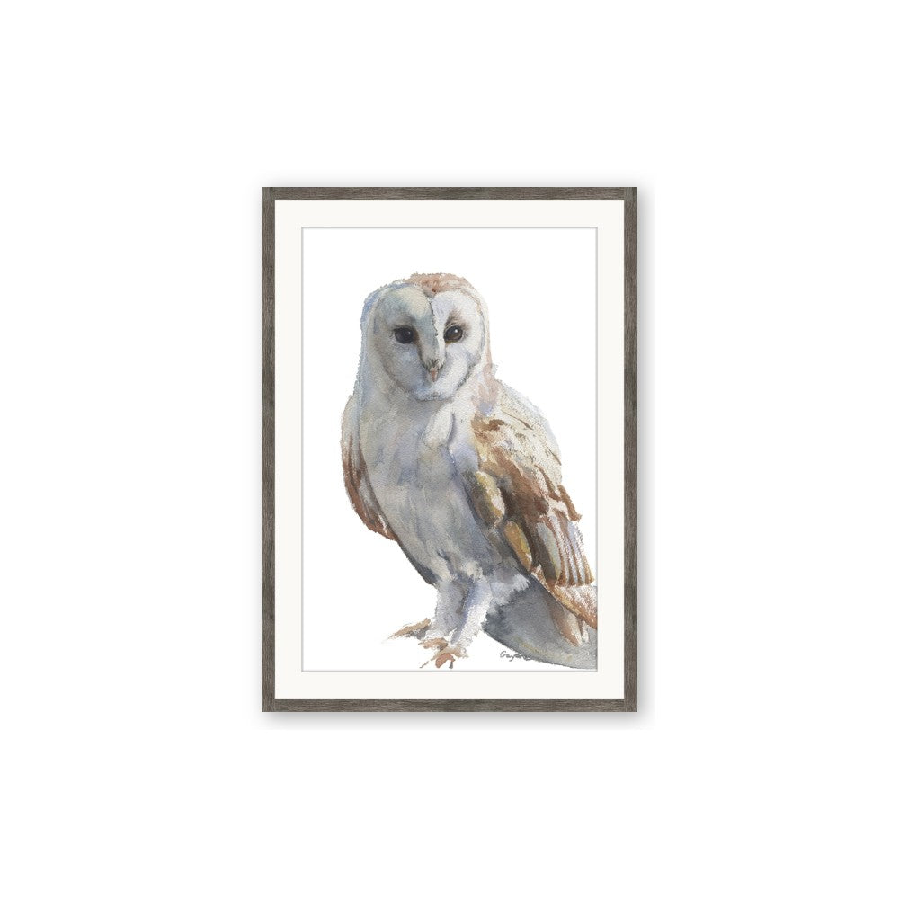 Watercolour Owl