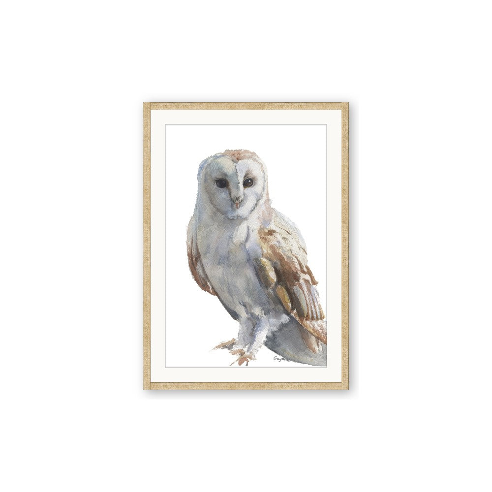 Watercolour Owl
