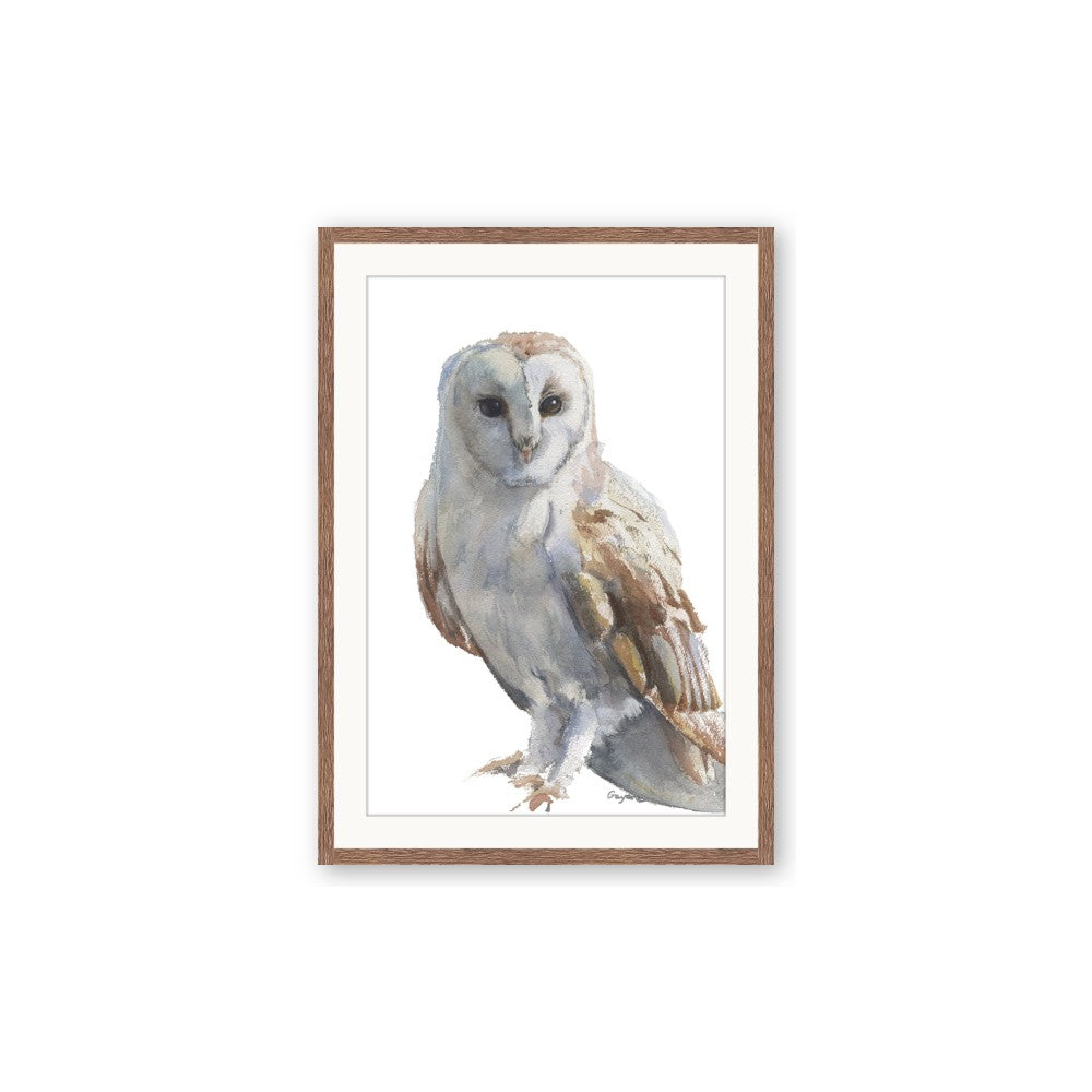 Watercolour Owl