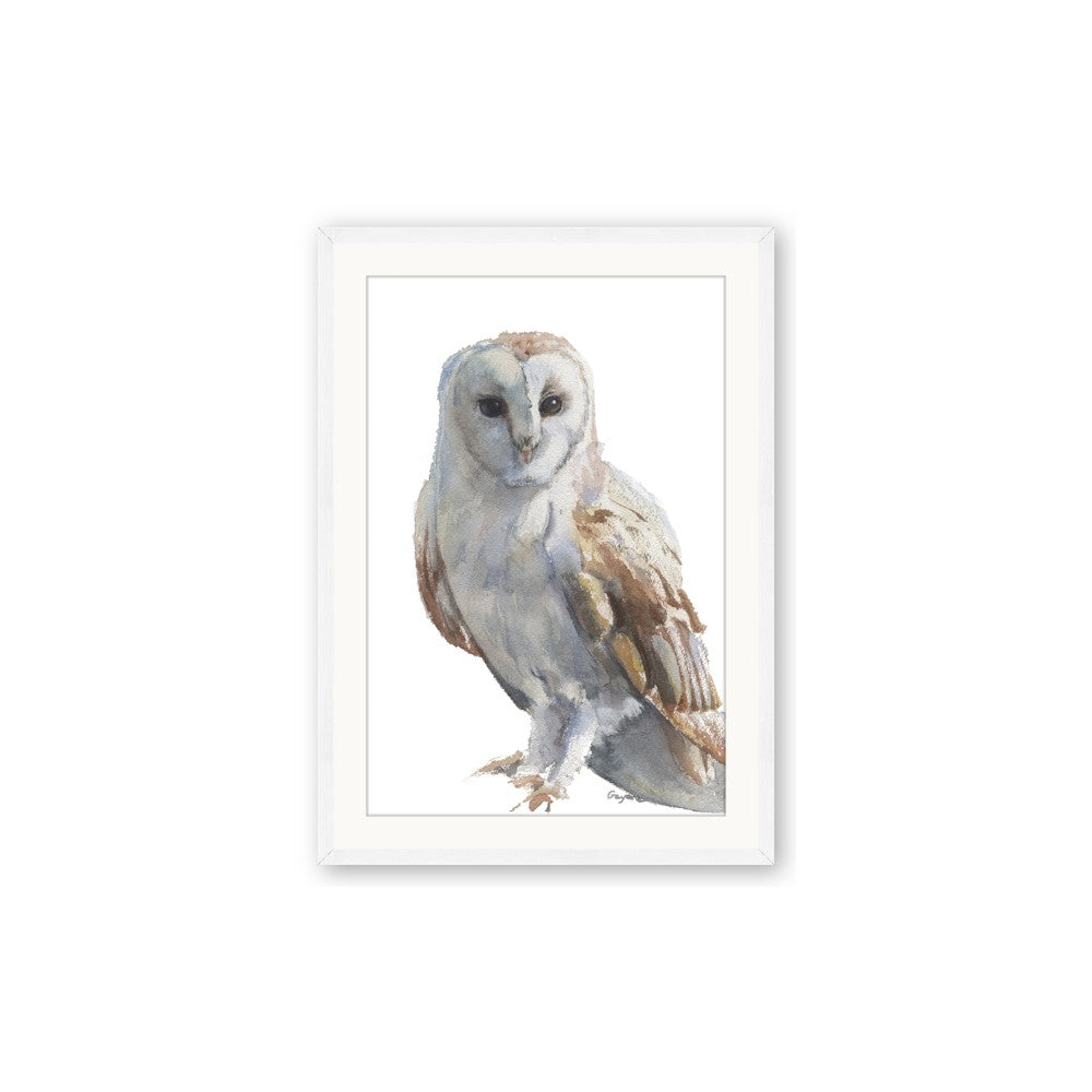Watercolour Owl