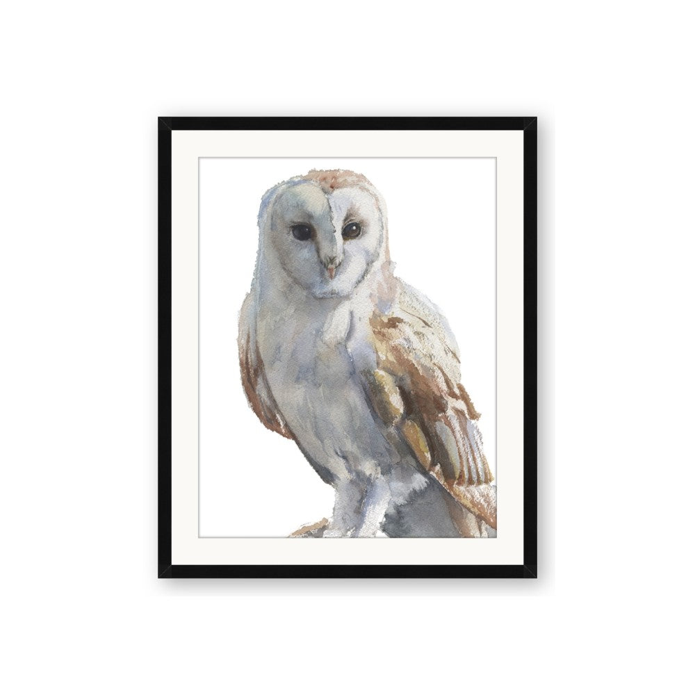 Watercolour Owl