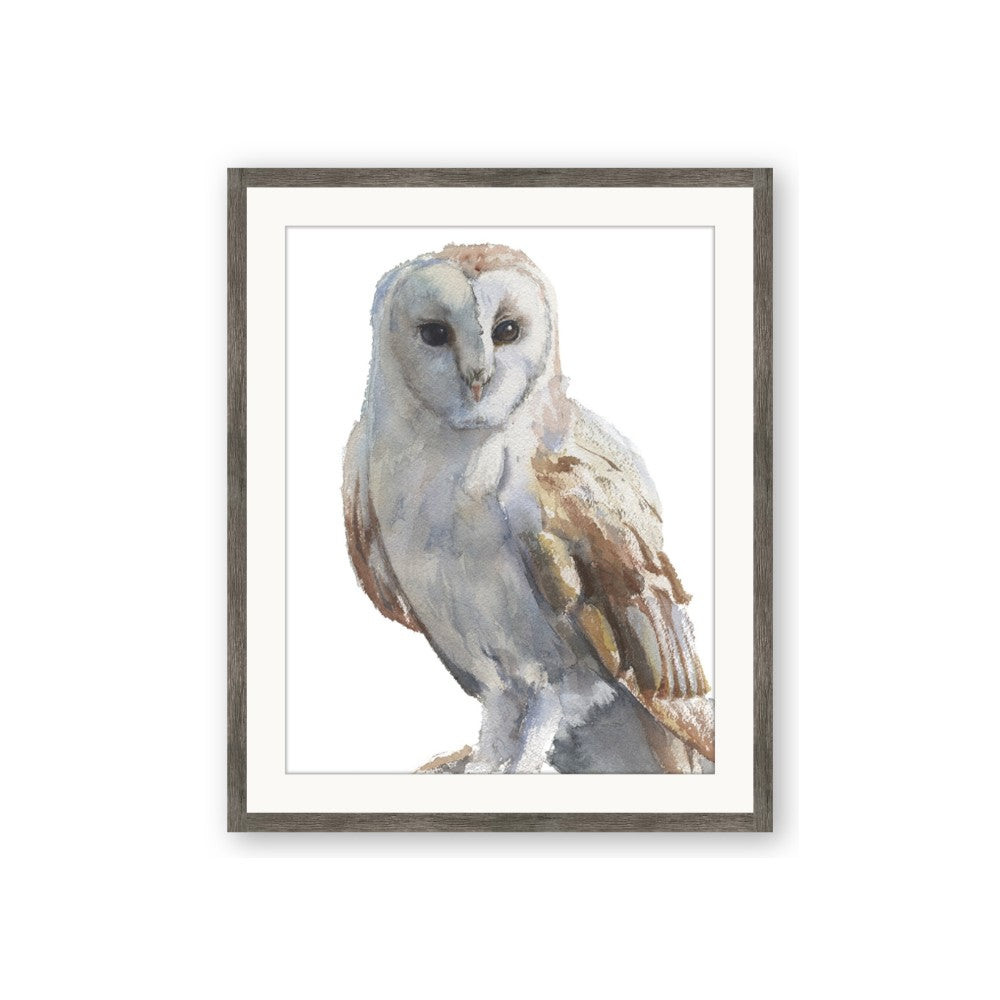 Watercolour Owl