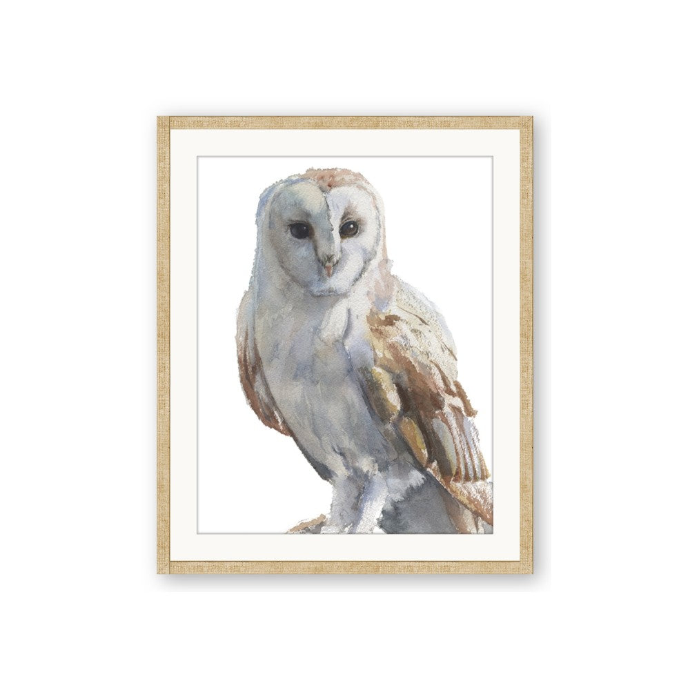 Watercolour Owl