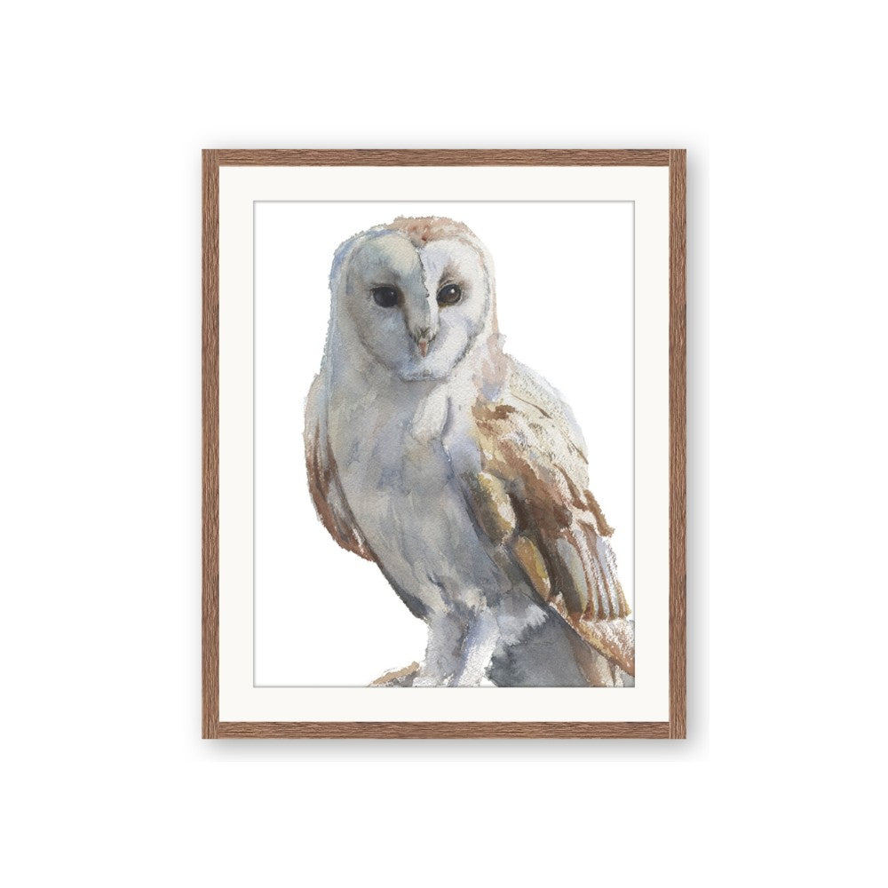 Watercolour Owl