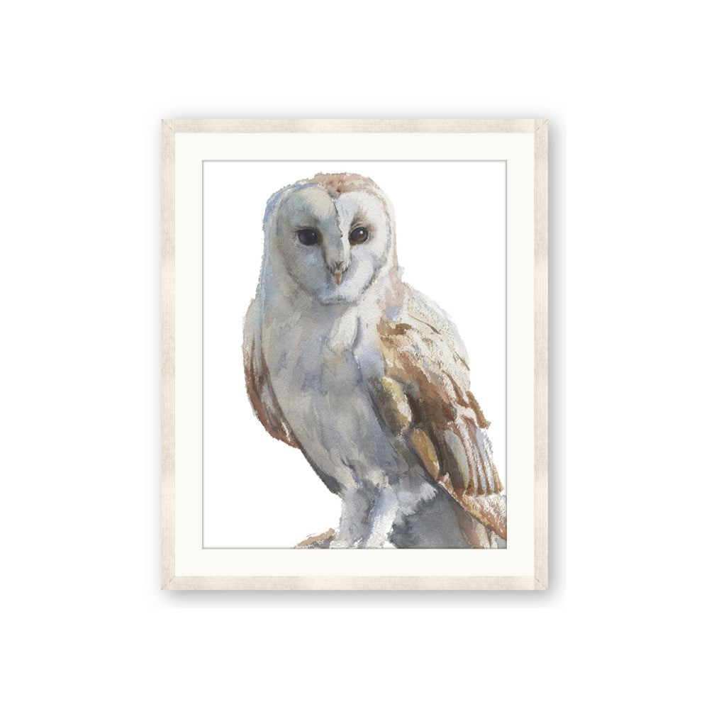 Watercolour Owl